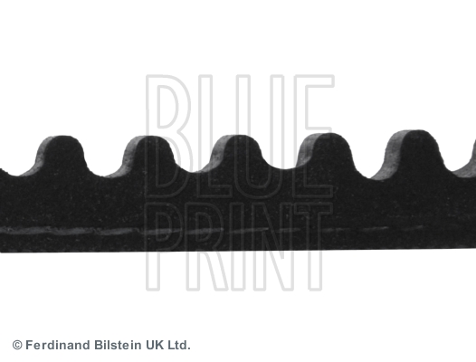AD13V1090 BLUE PRINT